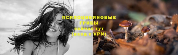 прущий лед Арсеньев