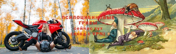 прущий лед Арсеньев