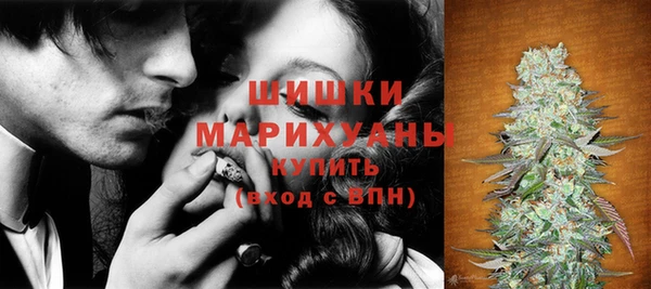 прущий лед Арсеньев
